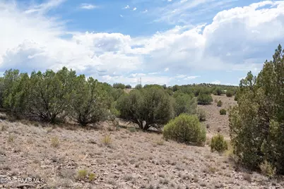 14Xx W Bison Hunt Way, Chino Valley, AZ 86323 - Photo 22
