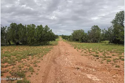 Lot #33D Stewart Road, Seligman, AZ 86337 - Photo 6