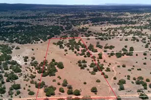 Lot #33D Stewart Rd, Seligman, AZ 86337 - Photo 1