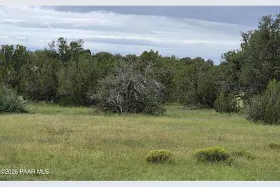 Lot #33D Stewart Road, Seligman, AZ 86337 - Photo 12
