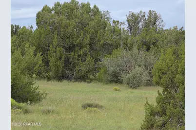 Lot #33D Stewart Road, Seligman, AZ 86337 - Photo 8