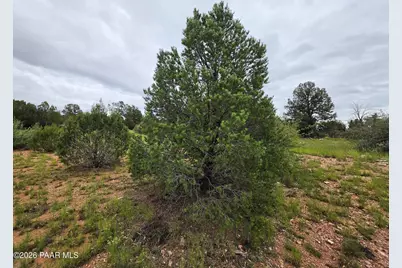 Lot #33D Stewart Road, Seligman, AZ 86337 - Photo 26