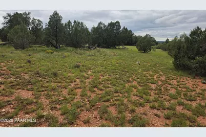 Lot #33D Stewart Road, Seligman, AZ 86337 - Photo 4
