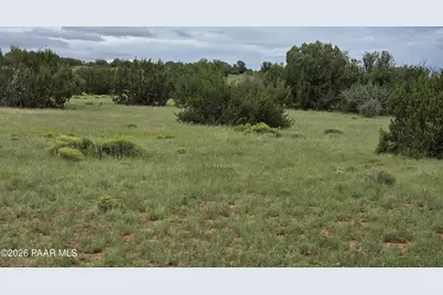 Lot #33D Stewart Road, Seligman, AZ 86337 - Photo 10