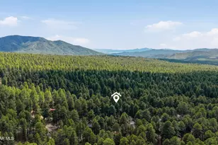 1111 E Pine Hills Dr, Prescott, AZ 86303 - Photo 38