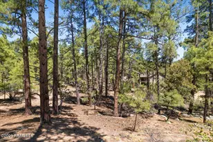 4650 W Vulture Bend Dr, Prescott, AZ 86303 - Photo 36