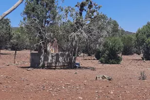 44050 W Fort Rock Rd, Seligman, AZ 86337 - Photo 36