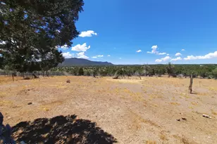 44050 W Fort Rock Rd, Seligman, AZ 86337 - Photo 44