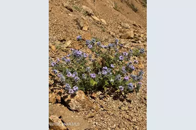 5000 W Six Claims Lot B Road, Prescott, AZ 86305 - Photo 10