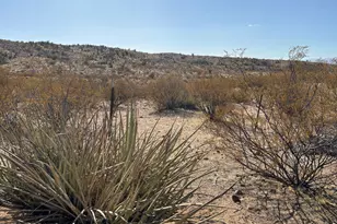 5720 S Mountain Lion Rd, Kingman, AZ 86401 - Photo 26