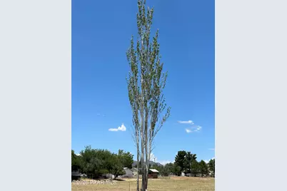 18628 S Joseph Hodge Road, Peeples Valley, AZ 86332 - Photo 4
