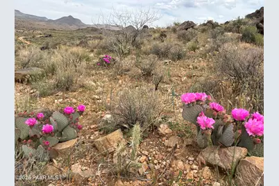 254-24-002 Mica, Kingman, AZ 86401 - Photo 1