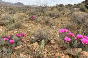 254-24-002 Mica, Kingman, AZ 86401 - Photo 1