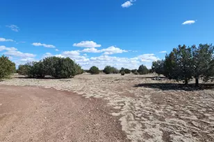 3597 N Boone Trail, Williams, AZ 86046 - Photo 50