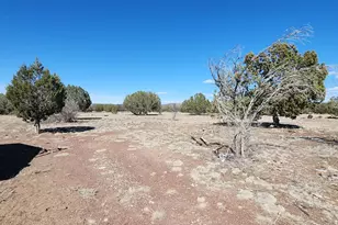 3597 N Boone Trail, Williams, AZ 86046 - Photo 54