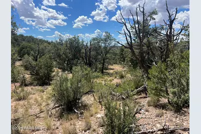 109 Off Of Twin Fawn Lane, Ash Fork, AZ 86320 - Photo 4