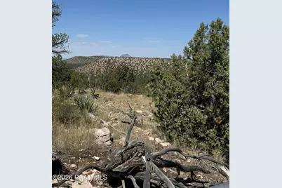 109 Off Of Twin Fawn Lane, Ash Fork, AZ 86320 - Photo 12