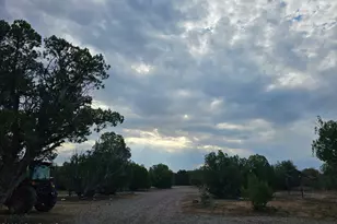 35636 Elk Ln, Seligman, AZ 86337 - Photo 14