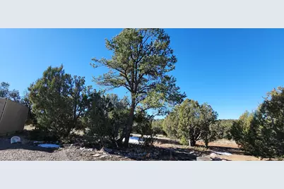 57602 N Hermana Lane, Seligman, AZ 86337 - Photo 22