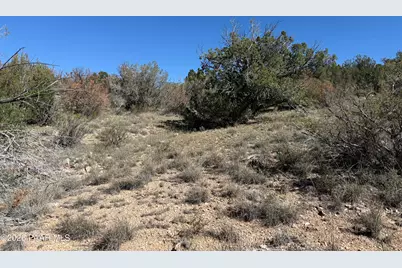 33367 W Hora Circle, Seligman, AZ 86337 - Photo 18