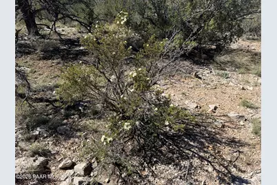33367 W Hora Circle, Seligman, AZ 86337 - Photo 22