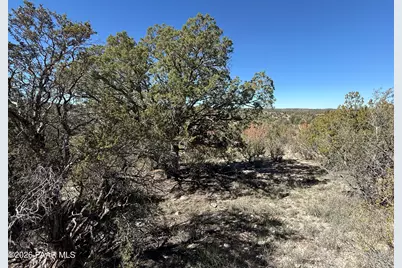 33367 W Hora Circle, Seligman, AZ 86337 - Photo 10