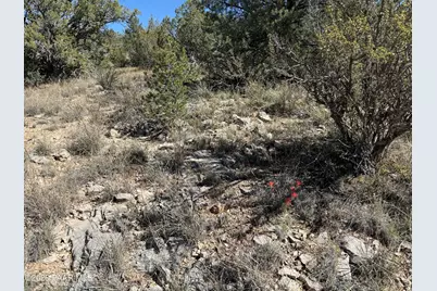 33367 W Hora Circle, Seligman, AZ 86337 - Photo 20