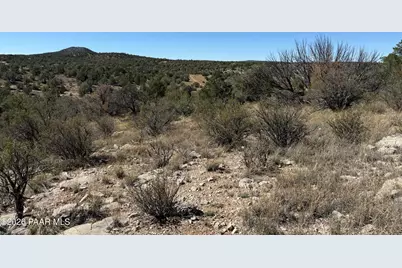 33367 W Hora Circle, Seligman, AZ 86337 - Photo 6