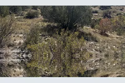 33367 W Hora Circle, Seligman, AZ 86337 - Photo 14