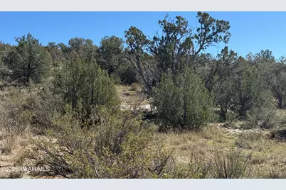 33367 W Hora Circle, Seligman, AZ 86337 - Photo 16