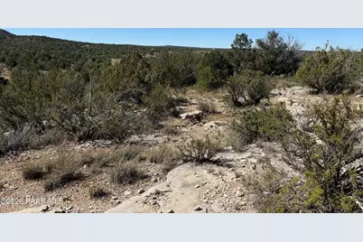 33367 W Hora Circle, Seligman, AZ 86337 - Photo 1
