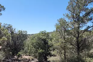 21095 E McKenzie Dr, Kingman, AZ 86401 - Photo 6