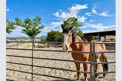 11600 N Cowboy Trail, Prescott, AZ 86305 - Photo 14