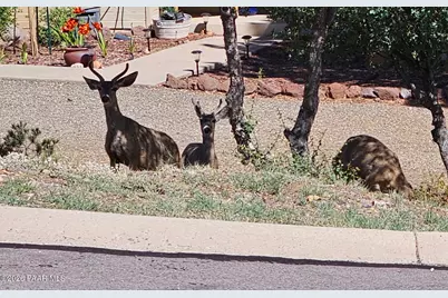 4996 Cactus Place, Prescott, AZ 86301 - Photo 26