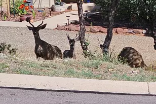 4996 Cactus Pl, Prescott, AZ 86301 - Photo 26