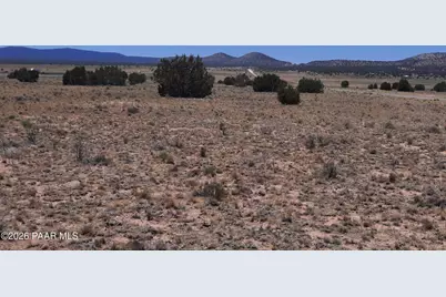 27705 W Fort Rock Road, Seligman, AZ 86337 - Photo 4