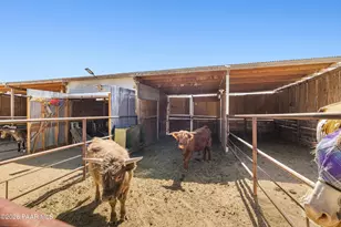 2770 N Mountain Meadow Rd, Chino Valley, AZ 86323 - Photo 28