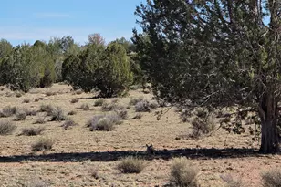 Lot 8B Tanner Rd, Ash Fork, AZ 86320 - Photo 1