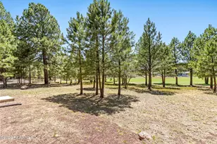 2943 W Castle Pines Dr, Williams, AZ 86046 - Photo 42