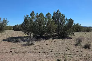 8A Off Tanner Rd, Ash Fork, AZ 86320 - Photo 1