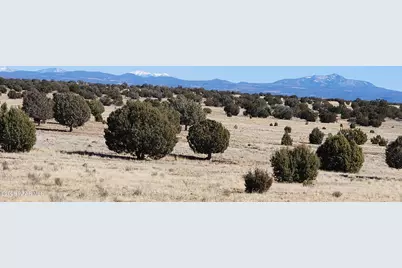 Lot 55A True Grit, Ash Fork, AZ 86320 - Photo 4