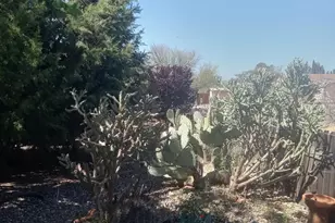 20794 E Zaragoza Dr, Mayer, AZ 86333 - Photo 30