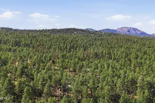 5957 W Dearing Rd, Prescott, AZ 86305 - Photo 46