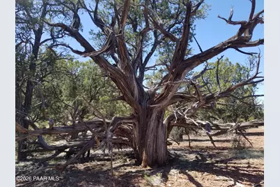 444 & 445 S Arizona Road, Ash Fork, AZ 86320 - Photo 10