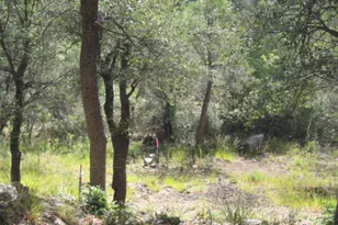 4834 S Indian Creek Rd, Prescott, AZ 86303 - Photo 18