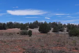 31935 W Calle Belleza, Seligman, AZ 86337 - Photo 18