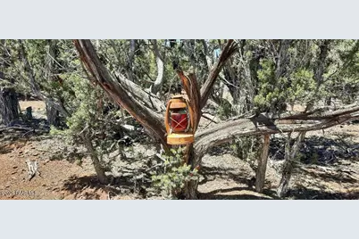 Xxxx S Desperado Trail, Williams, AZ 86046 - Photo 8