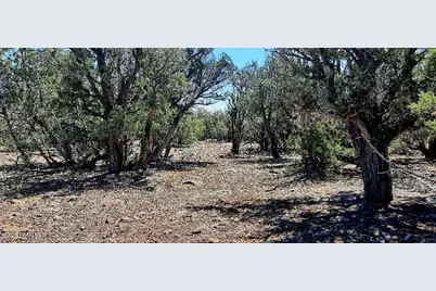 Xxxx S Desperado Trail, Williams, AZ 86046 - Photo 10