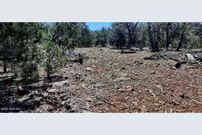 Xxxx S Desperado Trail, Williams, AZ 86046 - Photo 16
