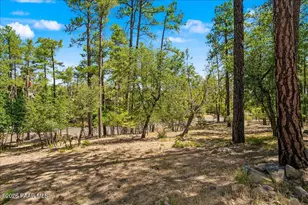 2521 W Copper Basin Rd, Prescott, AZ 86303 - Photo 22